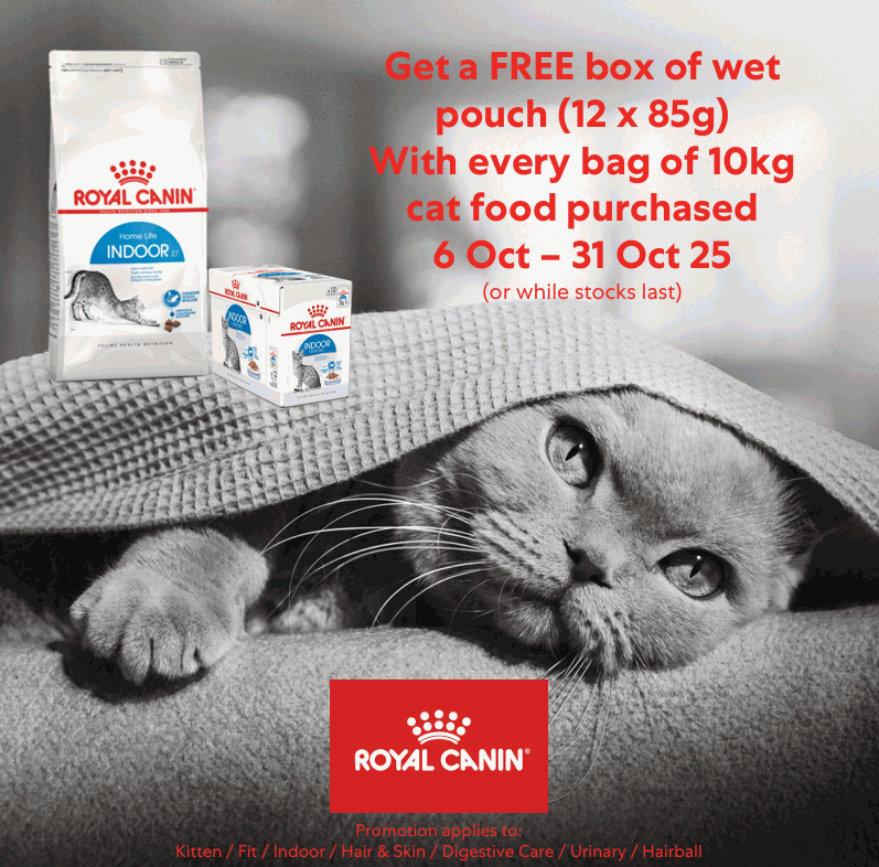 Pet Shop Singapore